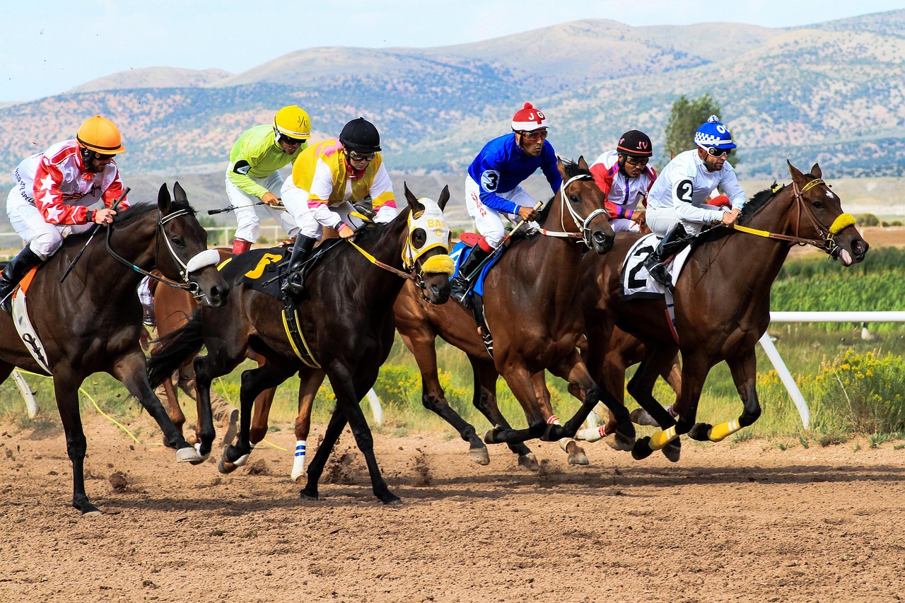 online sports betting