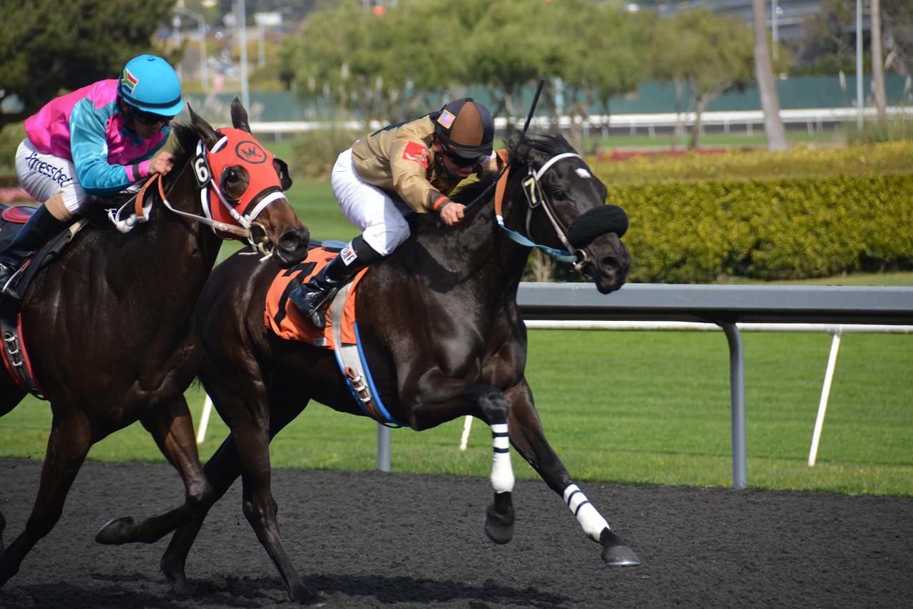 horse racing bets